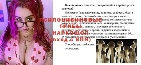 СК Надым