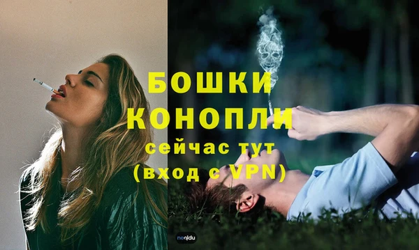 хмурый Михайловск