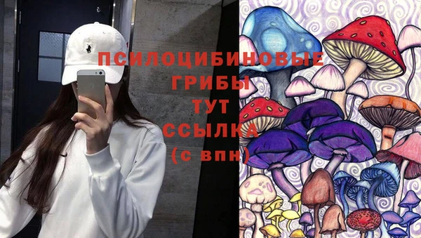 а пвп мука Михайлов